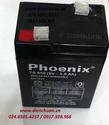 Bình Ắc Quy Phoenix TS650 ( 6V 5Ah)