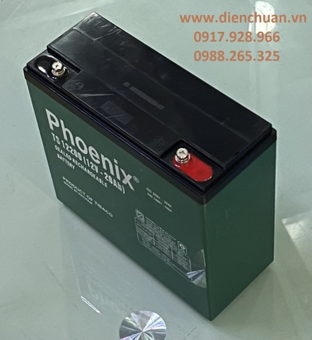 Ắc quy Phoenix TS12200 (12V 20Ah)