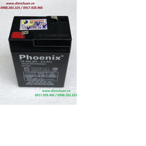 Ắc Quy PHOENIX 6V-5Ah TS650