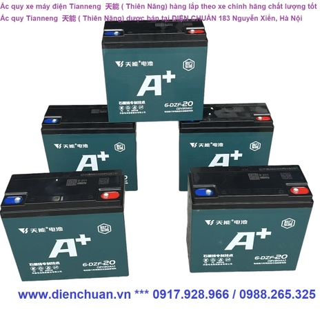 Ắc quy Tianneng 60V-20ah - Set of 5 Tianneng  天能 (Thien Nang) 60V 20Ah batteries
