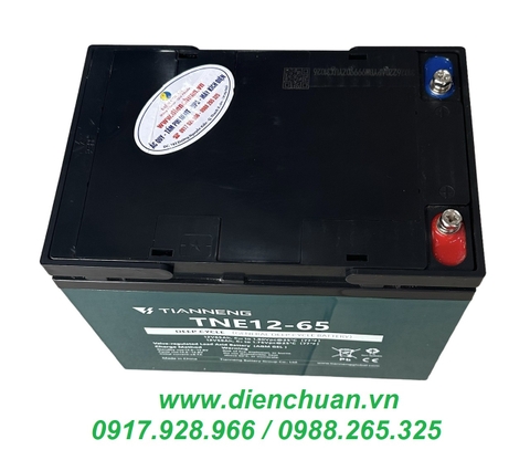 Ắc quy TIANNENG TNE12-65 (12V-65Ah)