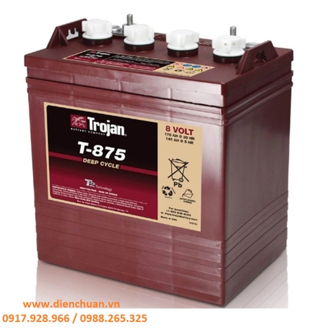 Ắc quy TROJAN  8V 170Ah T-875