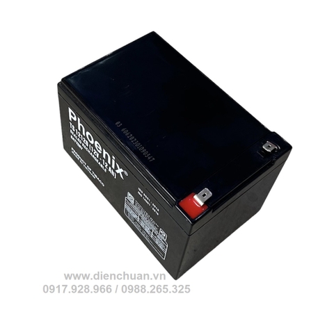Ắc quy xe đạp điện Phoenix 12V-12Ah TS12120 12Ah-12V