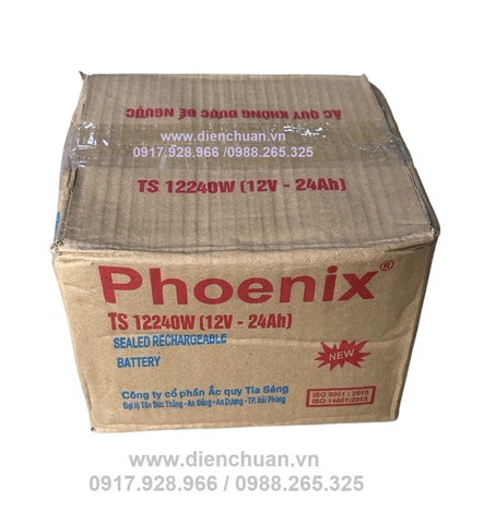 Bình Ắc quy Phoenix 12V-24Ah TS12240W
