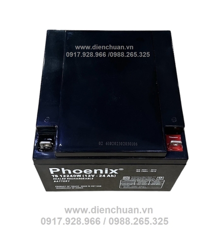 Bình Ắc quy Phoenix 12V-24Ah TS12240W