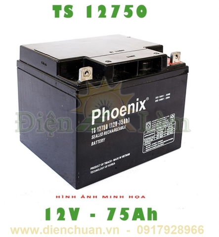 Ăc quy  Phoenix 12V 75Ah TS12750