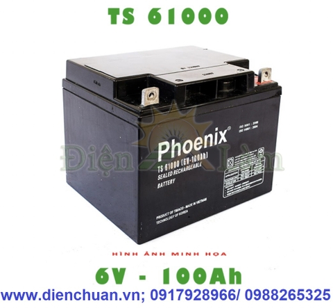 ẮC QUY PHOENIX 6V 100AH TS61000