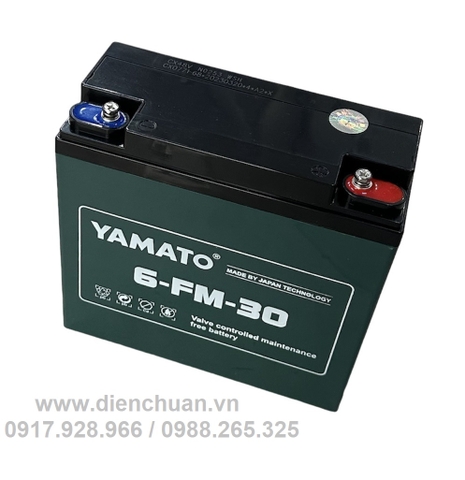 Ắc quy xe đạp điện 12V 30Ah Yamato (6-DZF-30/ 6-FM-30/ 6-DPB-30 / YMT-12-30)