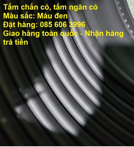 Tấm chắn cỏ màu đèn