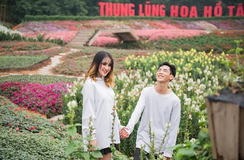 Thung lũng hoa hồ Tây - địa điểm chụp ảnh đẹp ở Hà Nội