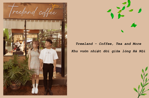 Treeland coffee - Khu vườn nhiệt đới giữa lòng Hà Nội