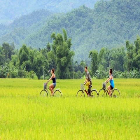 Du lịch Mộc Châu 2 ngày mùa hoa mận 🌸