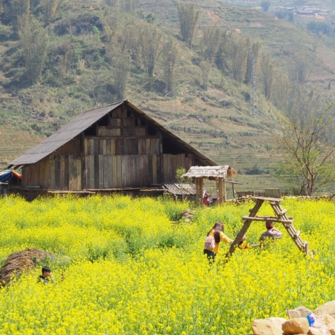 TOUR SAPA 2 NGÀY 1 ĐÊM: HÀ NỘI - SAPA - HÀM RỒNG - CÁT CÁT