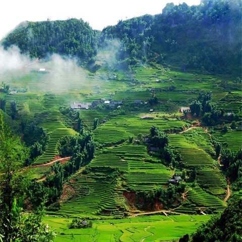 Tour du lịch Mộc Châu - săn mây Tà Xùa 2 ngày 1 đêm hấp dẫn !!!