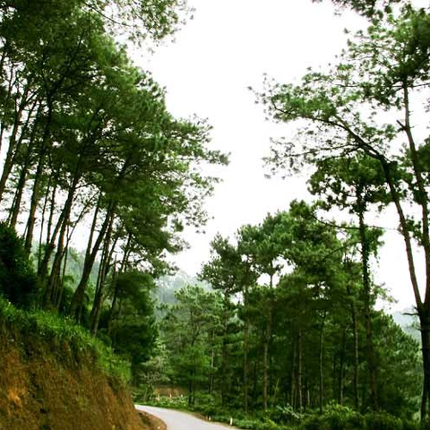 1 ngày du lịch tại Yên Minh- Hà Giang