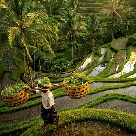 Du lịch Indonesia