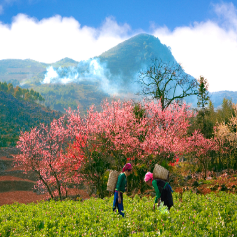 Tour Du Lịch Hà Giang 3 ngày 2 đêm