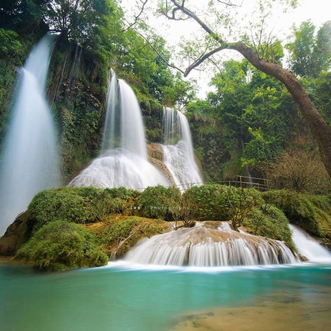 Tour Mộc Châu 2 ngày 1 đêm: Hà Nội - Mộc Châu - Thác Dải Yếm - Đồi chè trái tim 💖