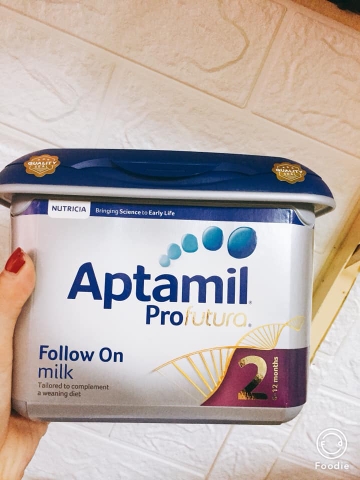 Aptamin bạc Anh lùn 2