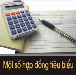 Một số hợp đồng tiêu biểu