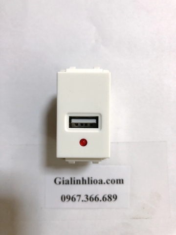 Nhân ổ cắm USB loại cắm thẳng