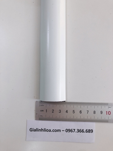 Ghen Bán Nguyệt TP D40x16