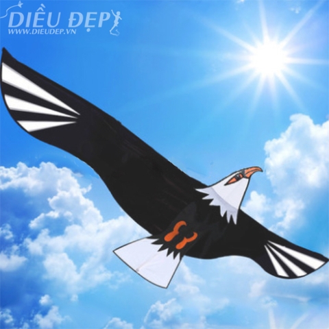 DIỀU ĐẠI BÀNG 2M