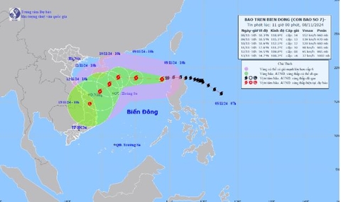 Bão số 7 liên tục đổi hướng, khả năng đổ bộ Quảng Nam - Quảng Ngãi