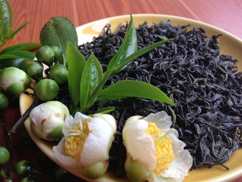 Trà thái nguyên ngon - sự lựa chọn hoàn hảo nhất 1