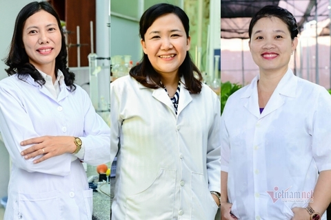3 nhà khoa học Việt Nam vào Top 100 nhà khoa học tiêu biểu của châu Á 2020