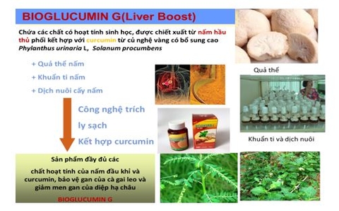 Công nghệ sản xuất thực phẩm bảo vệ sức khỏe của GS. TS. Lê Mai Hương