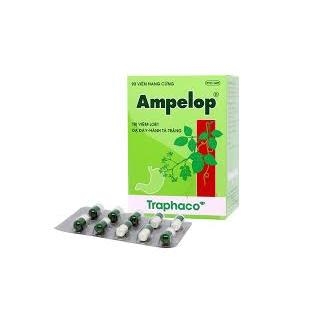 AMPELOP – TRỊ VIÊM LOÉT DẠ DÀY HÀNH TÁ TRÀNG