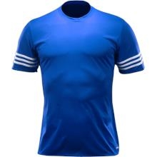 Quần áo bóng đá không logo Entrada xanh