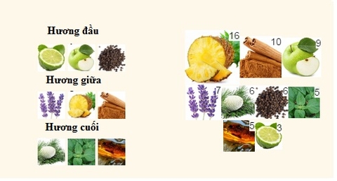 Hướng dẫn chọn nước hoa nam giá rẻ và tầm trung theo tính cách Hướng dẫn chọn nước hoa nam giá rẻ và tầm trung theo tính cách