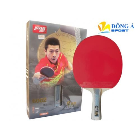 Vợt bóng bàn mút DHS 6002