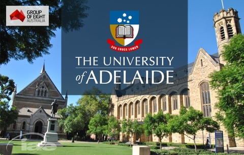 Đại học Adelaide - top G8 – học bổng lên tới 50% học phí năm 2022