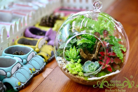 Terrarium AquaGarden