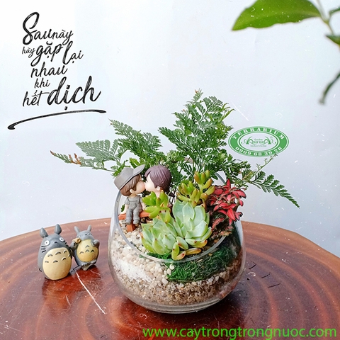 Terrarium 70 - Lời Hứa Của Thanh Xuân