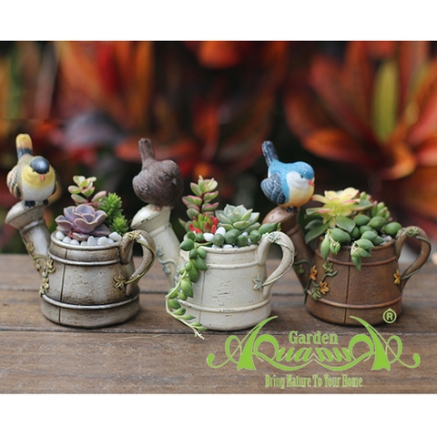 Chim Đậu Bình Tưới - Gốm AquaGarden