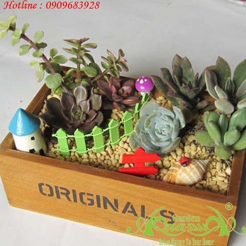 Hộp Gỗ Originals chữ nhật - Terrarium AquaGarden