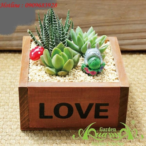 Hộp Gỗ Vuông Love - Terrarium AquaGarden