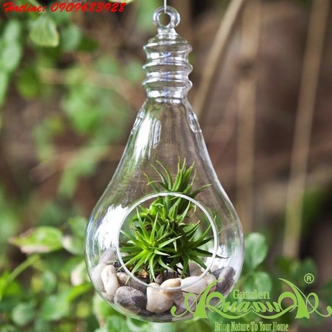 Bóng Đèn 01 - Thủy Tinh Treo