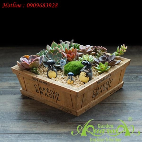 Hộp gỗ  Cafedo Brasil Vuông Thấp  -  Terrarium AquaGarden