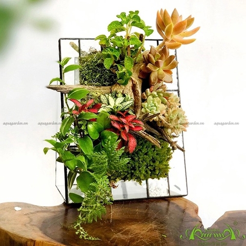 Terrarium 04 -  LIFE is beautiful