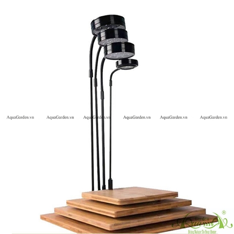 Đèn Đế Gỗ - PK Terrarium