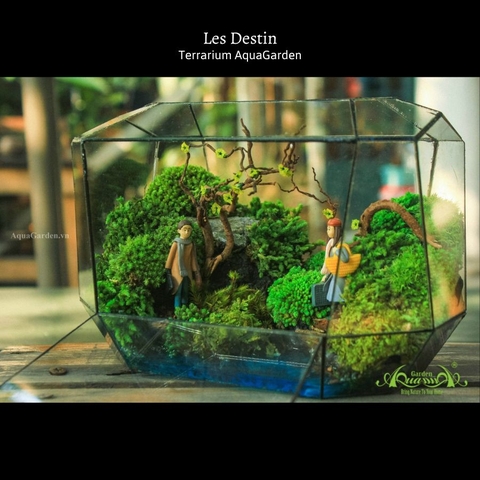 Terrarium 29 - Les Destin