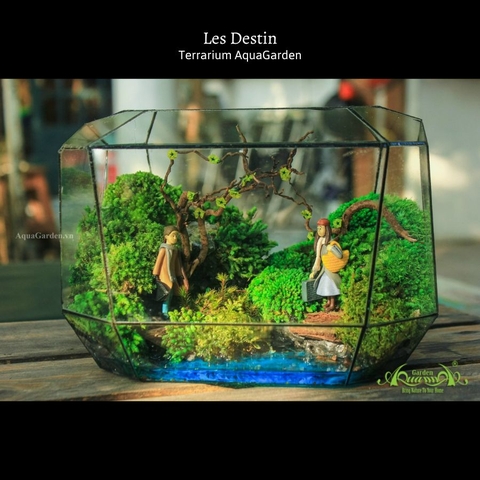 Terrarium 29 - Les Destin