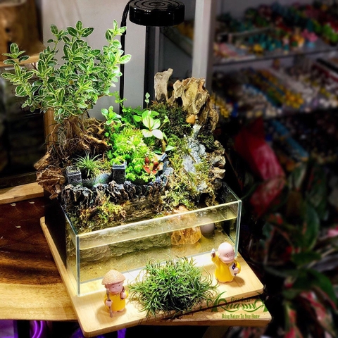 Terrarium 73  - Gió Nổi Bên Kia Thành