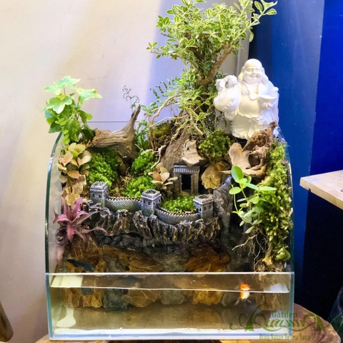 Terrarium 76  - Đồi Tiên Cảnh