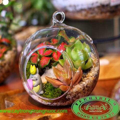 Terrarium AquaGarden